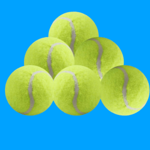 TailMate™ Family Bundle