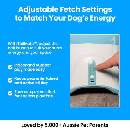 TailMate™ Automatic Dog Ball Launcher