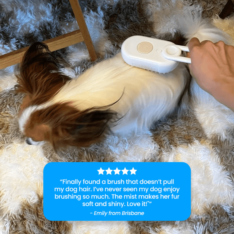 TailMate™ Steamed Dog Brush