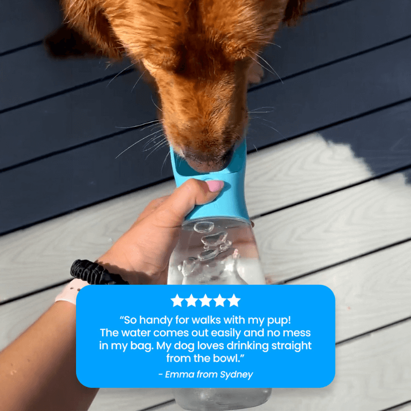 TailMate™ 2 in 1 Portable Water Bottle Feeder