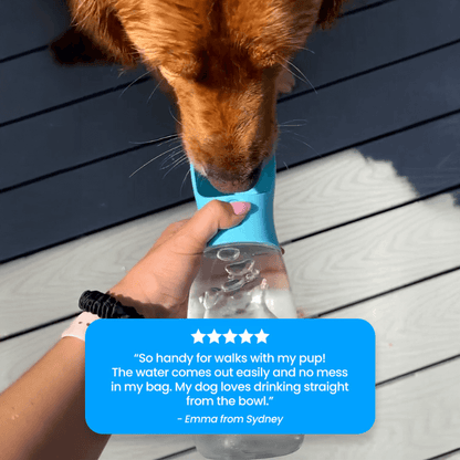 TailMate™ 2 in 1 Portable Water Bottle Feeder