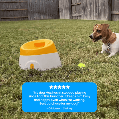TailMate™ Automatic Dog Ball Launcher