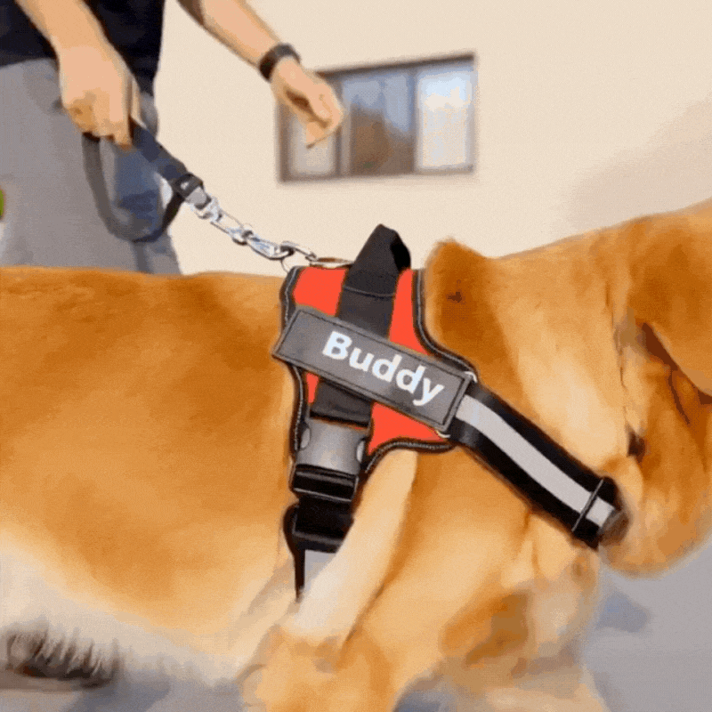 TailMate™ No Pull Personalised Dog Harness
