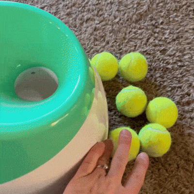 Tailmate™ 12 Mini Tennis Ball