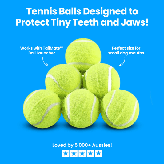 Tailmate™ 12 Mini Tennis Ball