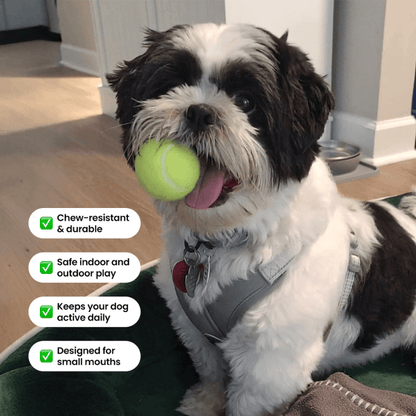 Tailmate™ 12 Mini Tennis Ball