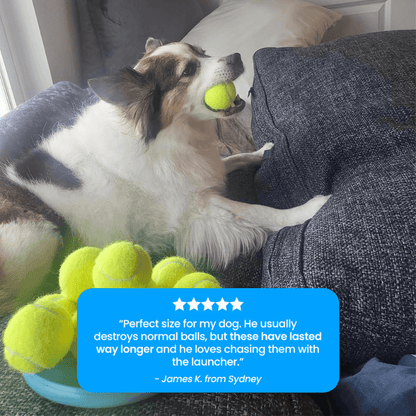 Tailmate™ 12 Mini Tennis Ball