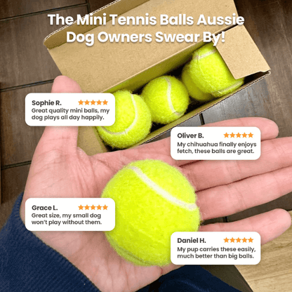 Tailmate™ 12 Mini Tennis Ball
