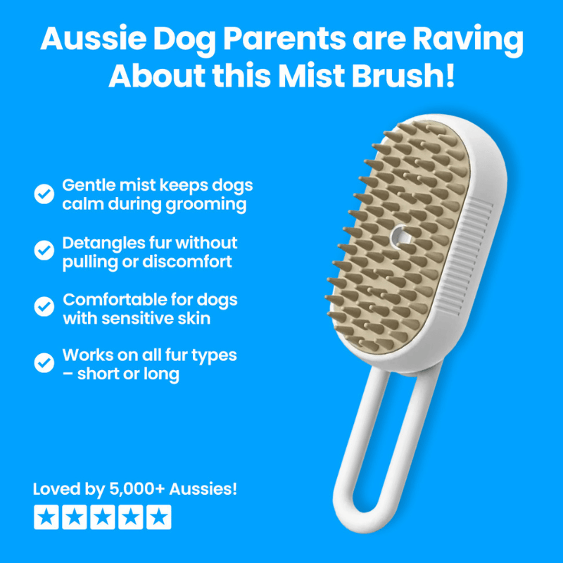 TailMate™ Steamed Dog Brush