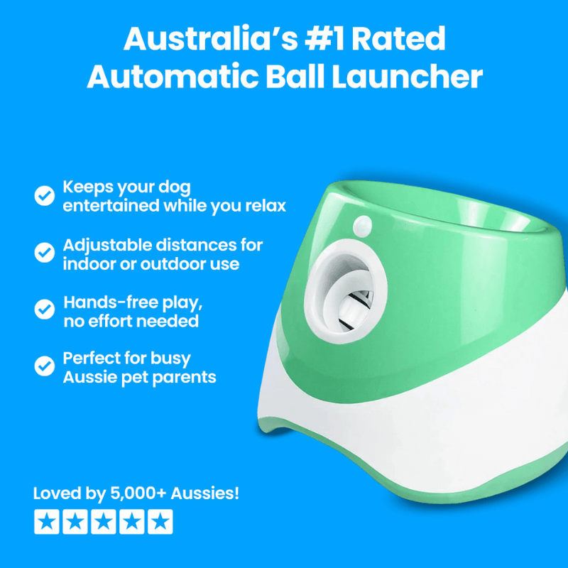 TailMate™ Automatic Dog Ball Launcher