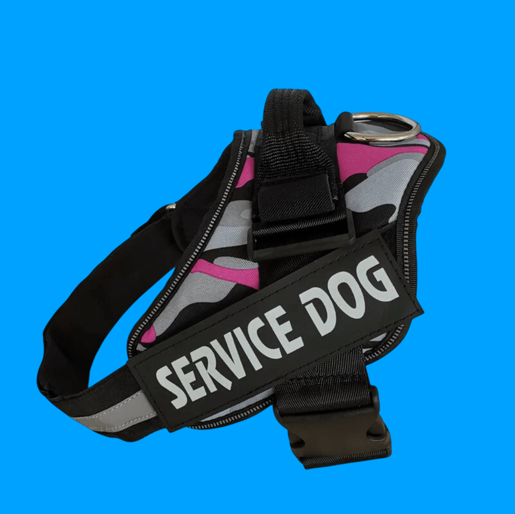 TailMate™ No Pull Personalised Dog Harness