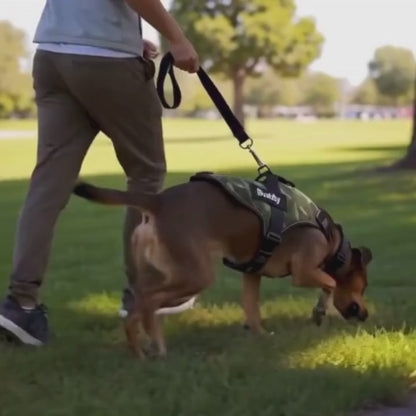 TailMate™ No Pull Personalised Dog Harness