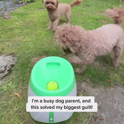 TailMate™ Automatic Dog Ball Launcher