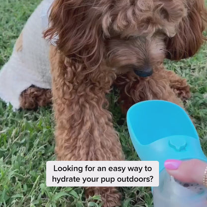 TailMate™ 2 in 1 Portable Water Bottle Feeder