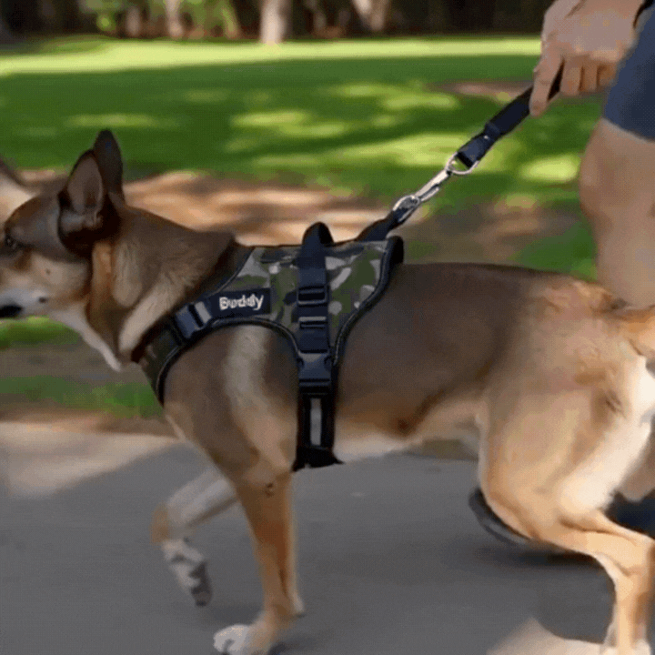 TailMate™ No Pull Personalised Dog Harness